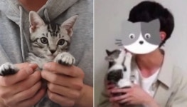 펫샵 구매 인정한 수의대생 유튜버 갑수목장 운영자 경찰 조사…계좌 압수수색