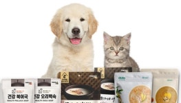 복날 앞두고 반려동물 원기회복하는 보양식 매출 쑥쑥…전년 동기 대비 150% 증가