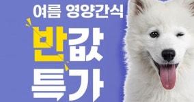 정읍지역자활센터반려동물영양간식연구소 | "30분 내 배달해드립니다!"…띵동, 반려동물 위한 영양간식 최대 50% 할인
