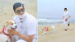 태어나 난생 처음 성훈과 함께 바다 여행 떠난 똥꼬발랄 반려견 양희의 반응