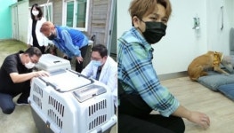 오디션에서도 안 울었던 프린수찬 김수찬이 아픈 유기견 구조 도중 왈칵 눈물 흘린 이유