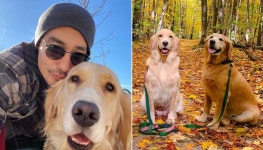 홍성 개농장에서 구조한 골든 리트리버 줄리엣과 단둘이 커플샷 찍은 다니엘 헤니