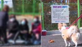 서울 동대문구에 문 연 반려견 놀이터 동네 주민들이 삿대질하며 강하게 반대하는 이유