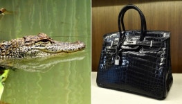 1억짜리 명품백 만들기 위해 5만마리 악어 농장 세우겠다는 에르메스 동물학대 논란