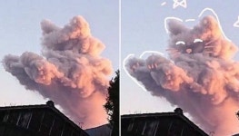 하늘 위 올려다보니 핑크빛으로 물들어 있는 고양이 모양 구름과 눈이 마주쳤어요