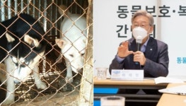 이재명 반려동물, 사지 말고 입양해야…개농장 실태 조사해 대책 마련 지적