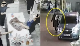 강아지 탈취제 뿌린 동물병원-시흥 강아지 밍이 사건 처벌 촉구 국민청원 모두 무산