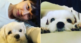 딸 위해 유진 배신한 최고 빌런된 펜트하우스2 윤종훈의 반전 넘치는 댕댕이 셀카