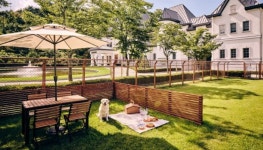 이마트 몰리스 펫팸족 공략 나선다…반려동물과 함께 호캉스 떠나보는 건 어때요?