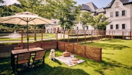 이마트 몰리스 펫팸족 공략 나선다…반려동물과 함께 호캉스 떠나보는 건 어때요?