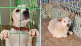 달라지는 건 아무것도 없었다…결국 이사 준비하기로 결정한 김포 아지네 마을