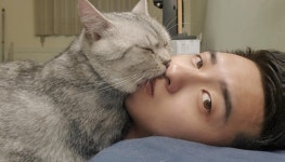 집사 깨우려고 입술에 뽀뽀했다가 그만 그대로 코 골고 쿨쿨 자는 개냥이 고양이