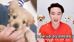 동물 사주와 궁합 풀어드립니다!…무속인 전영주의 미남TV 반려동물 펫플릭스 첫방