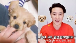 동물 사주와 궁합 풀어드립니다!…무속인 전영주의 미남TV 반려동물 펫플릭스 첫방