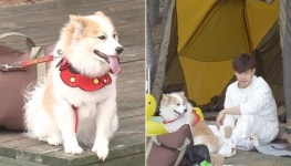 반려견 양희와 함께 단둘이 강릉 바닷가로 개캉스 떠난 쏘스윗 개오빠 성훈