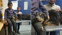 옆집 강아지 아프자 전 재산 500원 들고 동물병원 찾아간 형제에게 일어난 일