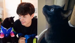 다홍이 덕분에 유기동물 보육원 만들고파…유기묘 입양한 다홍 아빠 박수홍의 꿈