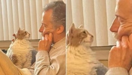 낯선 사람 손등 그렇게 할퀴더니 집사와 두 눈 마주치자 달달한 눈빛으로 쳐다보는 고양이