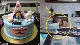친구 만나지 못해서 온라인으로 생일파티하다 자리 비웠더니 불쑥 나타난 강아지의 행동