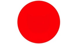 빨간색으로 채워진 동그라미에 있는 고양이가 어떤 모습을 하고 있습니까 [시력 테스트]