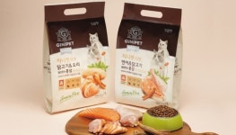 정관장 지니펫, 고양이 입맛도 사로 잡는다…고양이 사료 시장 진출 밸런스업 더캣 출시