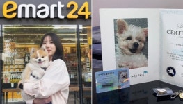 "앞으로 반려견 등록은 편의점에서 하세요!"…동물등록 대행 서비스 시작한다는 이마트24