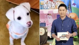 [2022 연말기획] 동물농장 MC 21년만에 안락사 위기 직전 놓은 유기견 입양한 신동엽의 선행