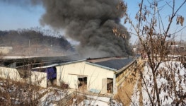 충북 음성 사육장에서 화재 발생해 갇혀 있던 개 300여 마리가 안타깝게도 폐사했습니다