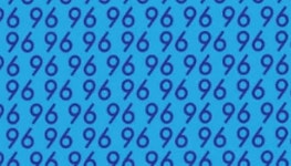 8초 내 숫자 96 빽빽하게 채워져 있는 그림 속에서 숨어 있는 숫자 69 찾기란 쉽지 않습니다