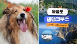 우리집 강아지와 함께 울릉도 여행 떠날 수 있는 울릉도 댕댕크루즈 선착순 모집한다