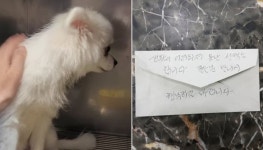 생활이 어려워져 못난 선택을 합니다라고 적현 쪽지와 함께 주택가에 버려진 유기견