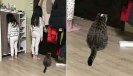 자매가 싸운다고 엄마한테 혼나 벽 보고 벌 받고 서있자 안타까웠던 고양이가 보인 의외의 행동