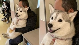 개는 털 날려서 질색이라며 키우지 말라더니… 댕댕이 데리고 동물병원 간 아빠 최근 모습