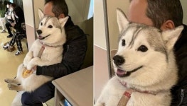 개는 털 날려서 질색이라며 키우지 말라더니… 댕댕이 데리고 동물병원 간 아빠 최근 모습