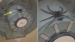 아빠~ 아빠~...학교 끝나고 돌아온 아들이 급똥대문에 화장실 달려갔다가 소리지른 이유