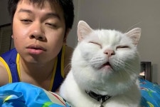 서로 사랑하면 얼굴이 점점 닮아간다는 말이 무슨 뜻인지 단번에 보여주는 남자와 고양이
