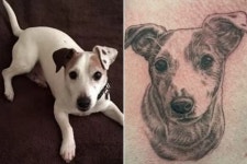 자신의 오른쪽 가슴에 무지개 다리 건넌 강아지 얼굴로 문신 새겨넣은 남성