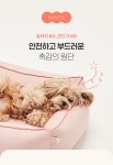 [아르르] 꿀잠방석 크림 옐로우 M_동원몰
