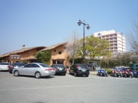 BEMIL 사진 자료실 - BEMIL 군사세계 봄이다 벚꽃 구경가자...@@