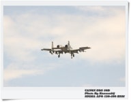 BEMIL 사진 자료실 - 유용원의 군사세계 51FW/25대대 A-10