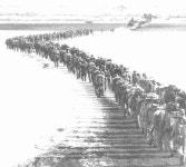 BEMIL 사진 자료실 - BEMIL 군사세계 중공군의 \행진\ 인해전술