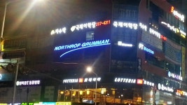 BEMIL 사진 자료실 - 유용원의 군사세계 우리동네 고양이 가게?!