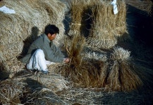 BEMIL 쉼터 - BEMIL 군사세계 한국의 옛날 풍경- 경기도 동두천 1964