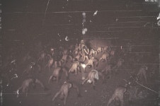 BEMIL 아카이브 - BEMIL 군사세계 해척조 교육 2