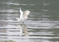 BEMIL 사진 자료실 - BEMIL 군사세계 ^^ 전남 여수시 학동 선소 입니다.