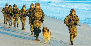 BEMIL 아카이브 - BEMIL 군사세계 102여단 해안순찰