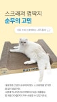 고양이 리빙 > 캣테리어 완성! 순무 버터 초대형 고양이 스크래쳐 | 오늘의집 쇼핑 캣테리어 완성! 순무 버터 초대형 고양이 스크래쳐