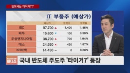 타이거 붐 : 뉴스 : SBS 타이거 붐 검색결과 | SBS Biz 검색