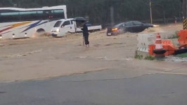 하류 : 뉴스 : SBS SBS
