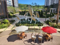 아라 : 뉴스 : SBS SBS